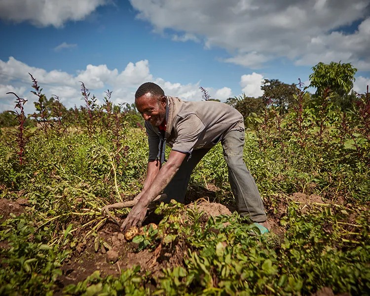 A man smiling while working in an agriculture area