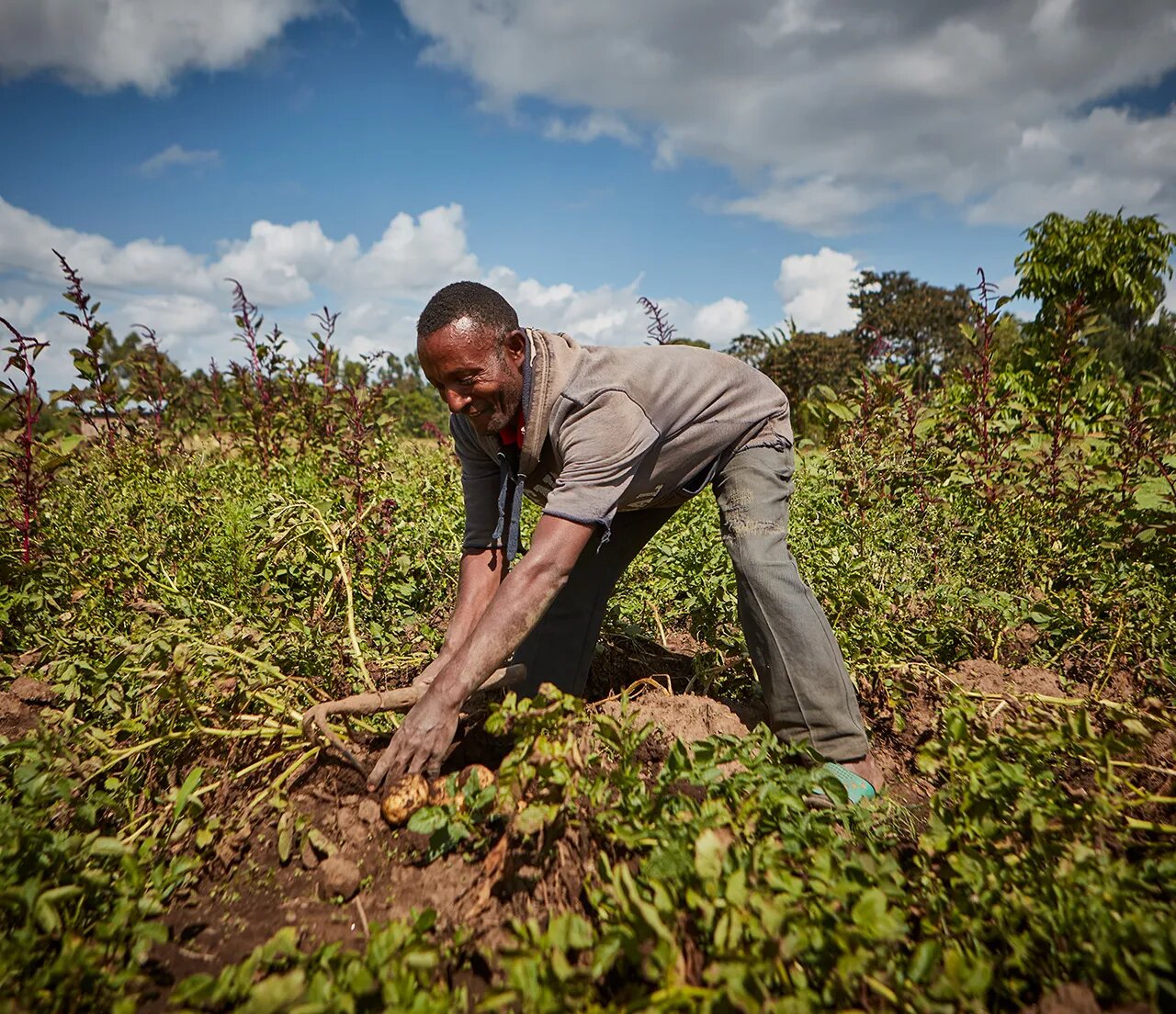 Man working on an agriculture area