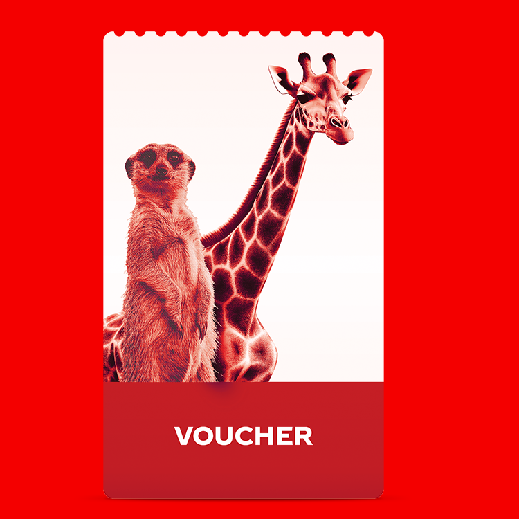 Rode waardebon met een afbeelding van een stokstaartje en een giraf op een lichte achtergrond. Onderaan staat in witte letters het woord ‘VOUCHER’ op een rode achtergrond.