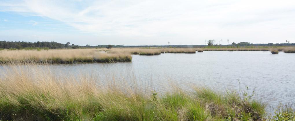 Waterbeheer in natuurgebieden