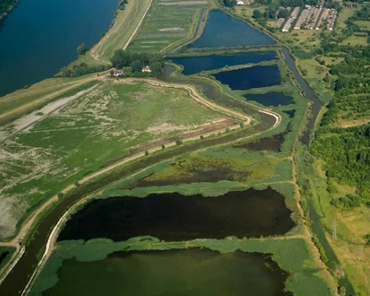 Rimpelingen die golven kunnen worden