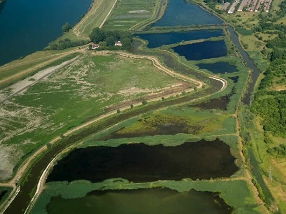 Rimpelingen die golven kunnen worden