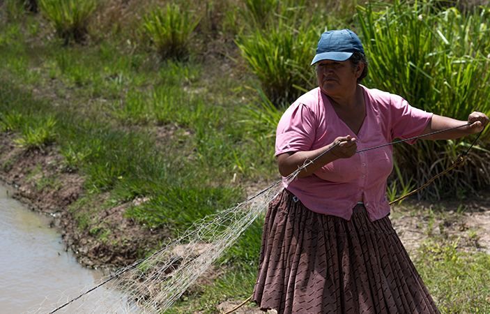 Basilia, experta cazadora de peces