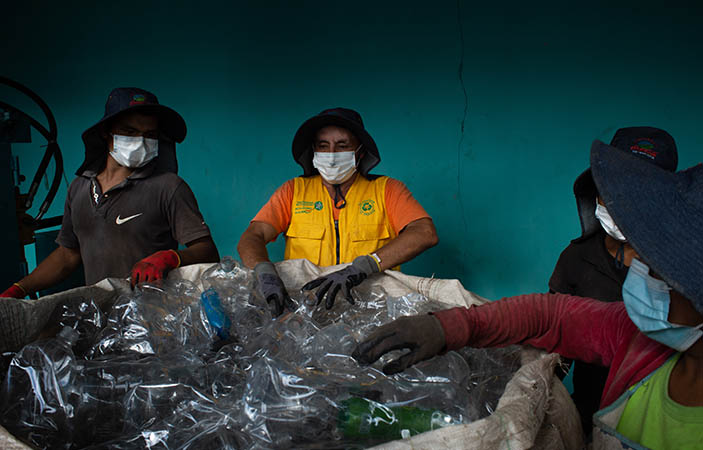 Recolectores trabajando