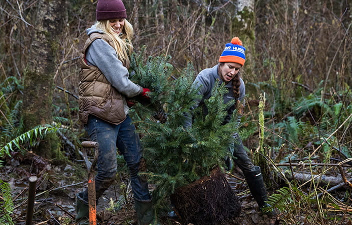 Two women in a forest carrying a small tree