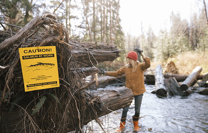 A woman standing in a river cleaning up a broken tree