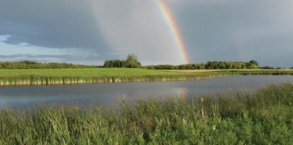 Les milieux humides réapprovisionnent les eaux souterraines.