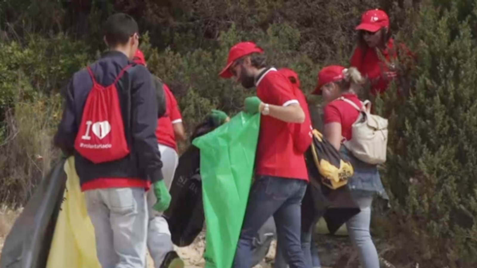 several people searching for trash at a beach