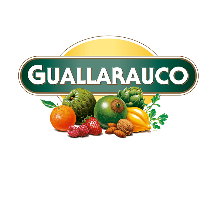 Logo Guallarauco