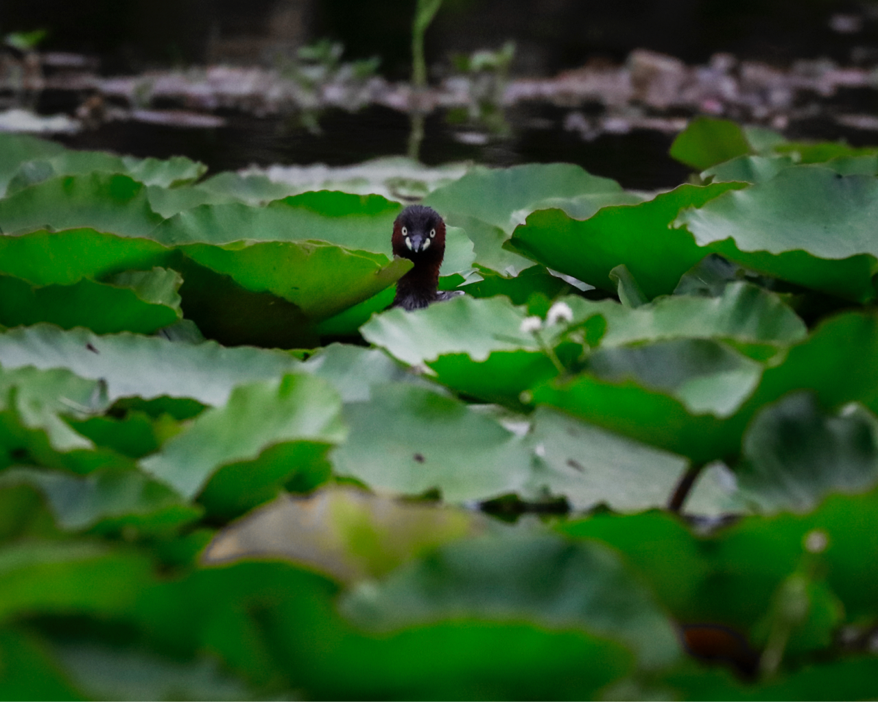 Responsible_Business_Fact_2_Image_Desktop