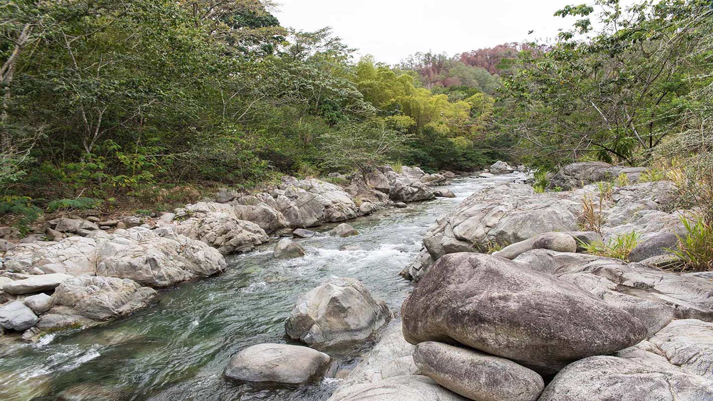 El agua de un río fluye