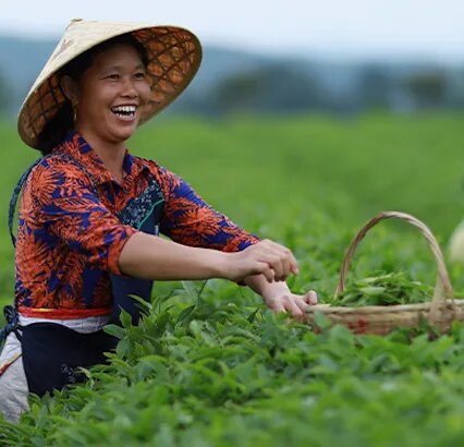 Woman smiling while working in agriculture area