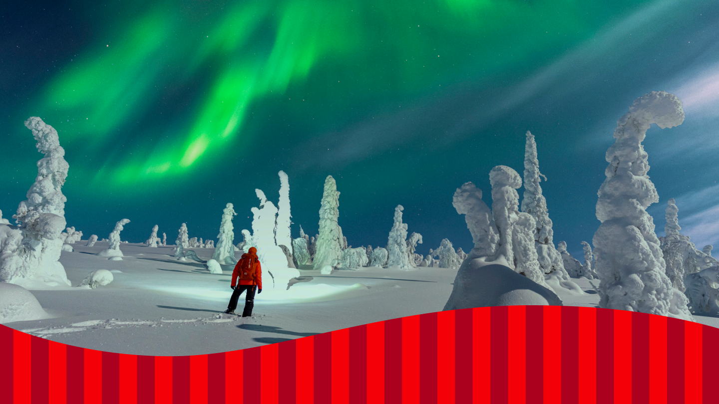 Een persoon in een rode jas staat in een besneeuwd landschap met unieke, met sneeuw bedekte bomen, onder een felgroen en blauw noorderlicht aan de nachtelijke hemel.