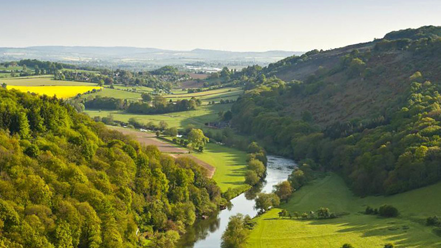 Open view of a natural landscape with woods, open fields and a river