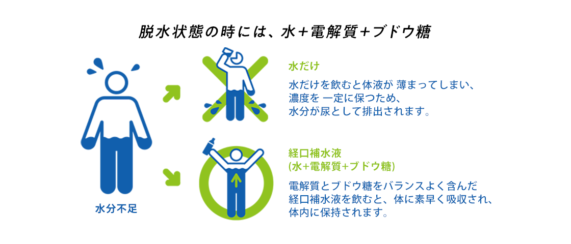 体の水分を保つためには、水+電解質補給 電解質をバランスよく含んだ水を飲むと、水分が体内に保持されます。 水だけを飲むと体液が薄まってしまい、濃度を一定に保つため、水分が尿として排出されます。