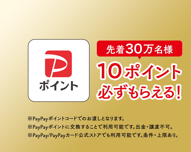 PayPayポイント 10ポイント必ずもらえる