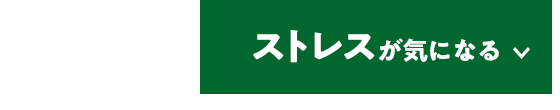 ストレスが気になる