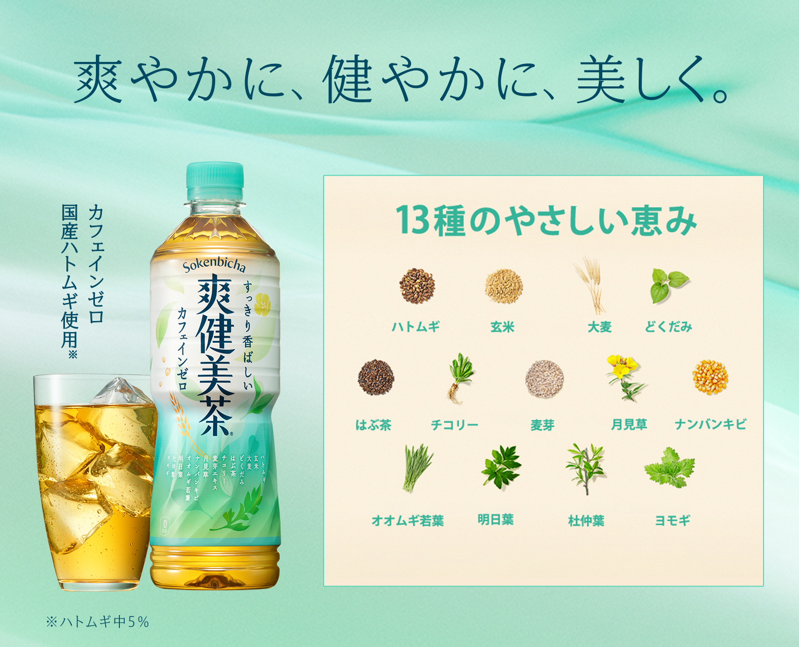 爽やかに、健やかに、美しく。13種のやさしい恵み。ハトムギ、玄米、大麦、どくだみ、はぶ茶、チコリー、麦芽、月見草、ナンバンキビ、オオムギ若葉、明日葉、杜仲葉、ヨモギ