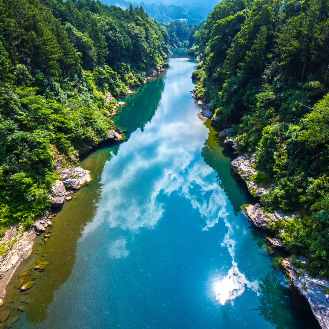 写真：青空を映す静かな川が、緑豊かな森に囲まれている。