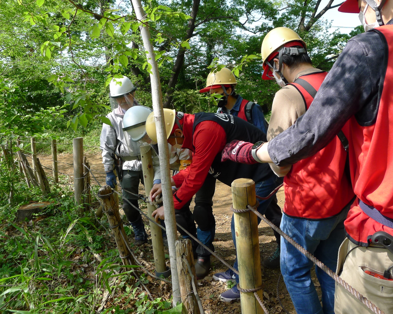 写真：ヘルメットを被った人たちが屋外の木々の中で作業をしている様子