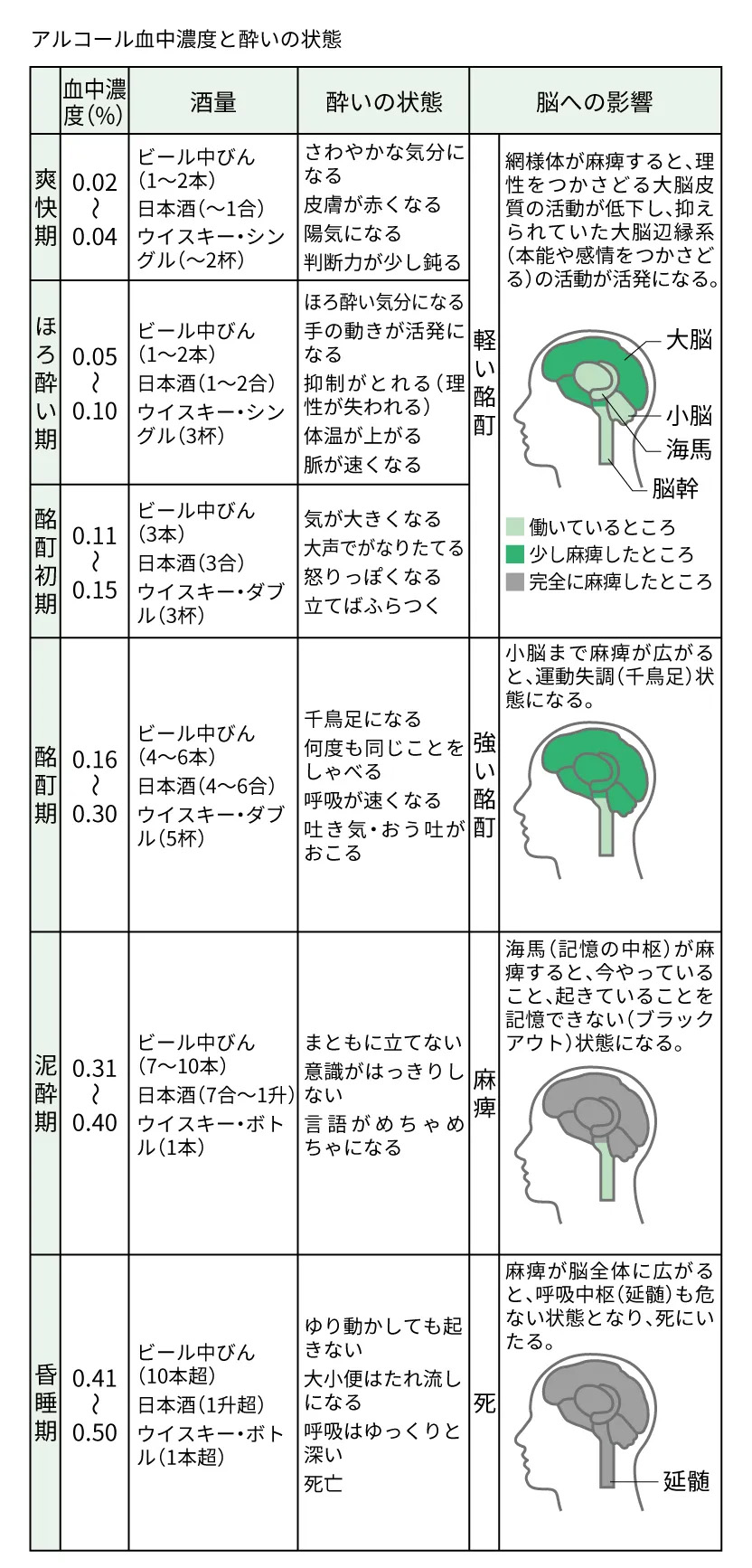 酔いがさめるまでにかかる時間