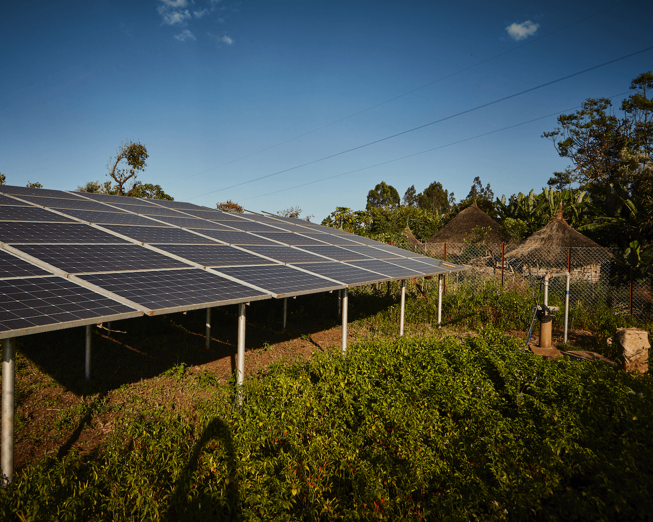 Solar electric panels in a rural area