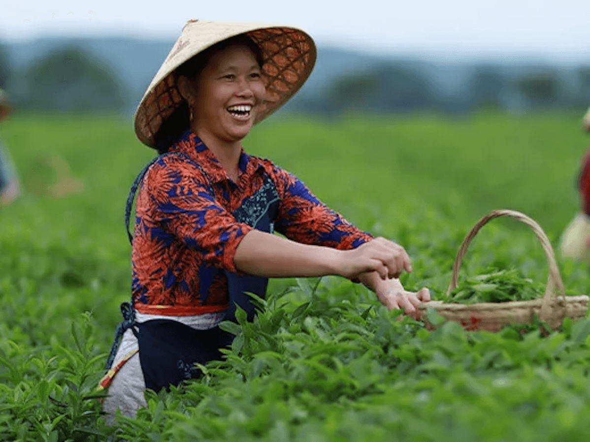 Woman smiling while working in agriculture area