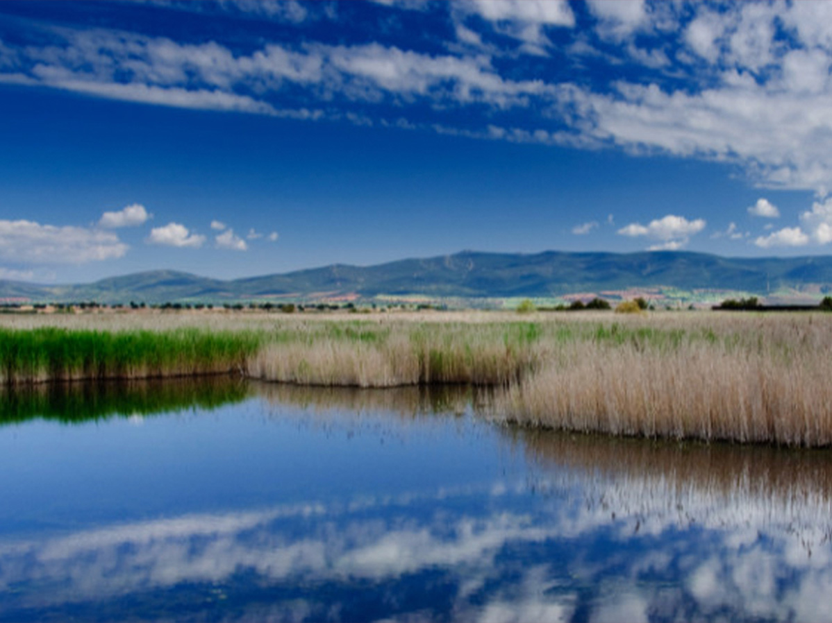 Natural landscape with a lake and mountains