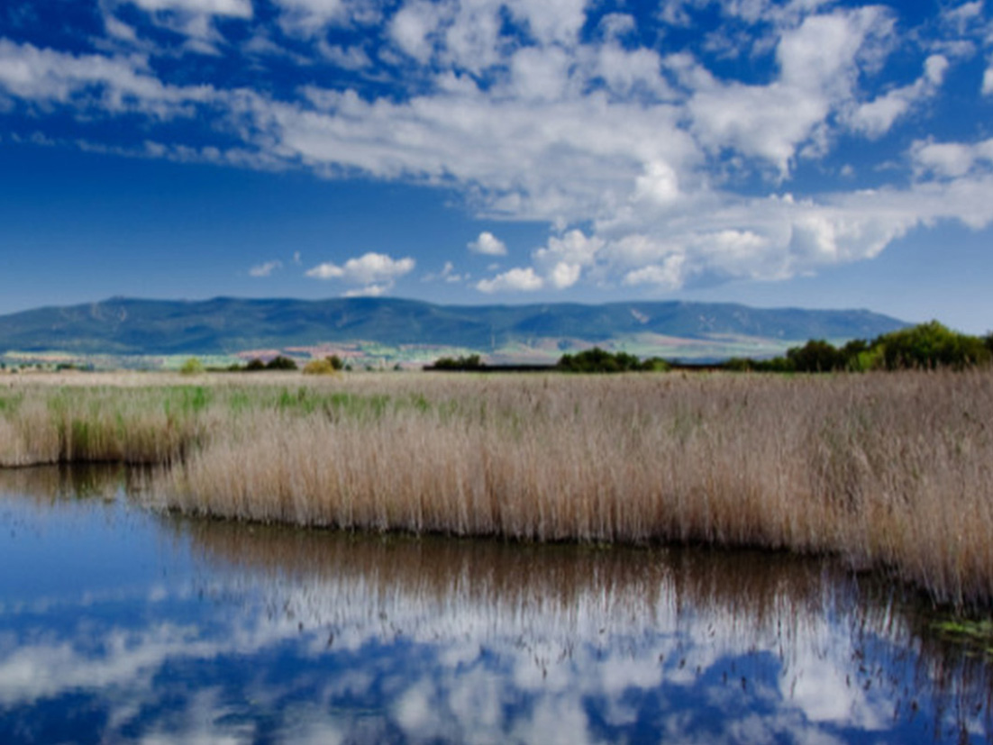 Una vista panorámica de Tablas de Daimiel