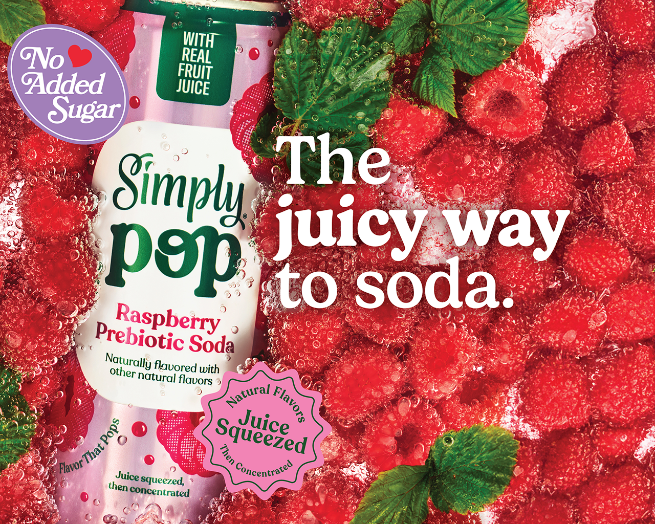 a can of simply pop raspberry soda prebiotic soda in raspberries that says "the juicy way to soda"